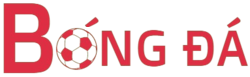 Bóng đá, bong da, bongda